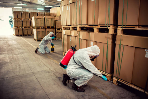 Best Termite Control Services  in Searingtown, NY