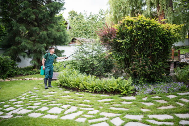 Best Commercial Pest Control Services  in Searingtown, NY