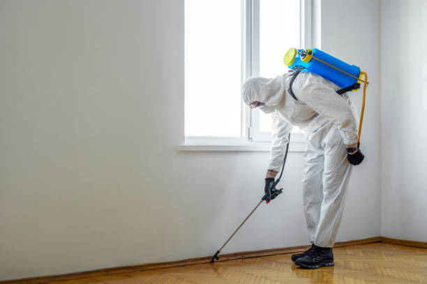 Best Local Pest Control Services  in Searingtown, NY