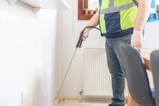 Best Local Pest Control Services  in Searingtown, NY