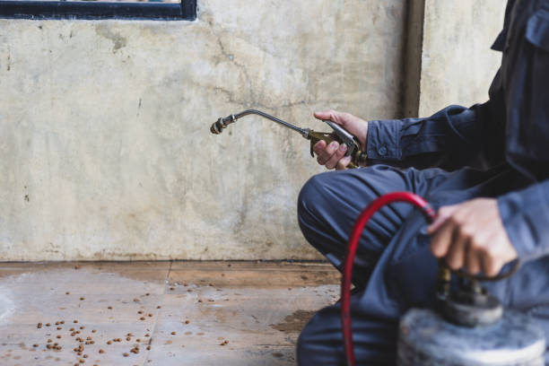 Best Pest Prevention Services  in Searingtown, NY